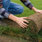 Comment planter des rouleaux de gazon naturels ? Guide étape par étape.