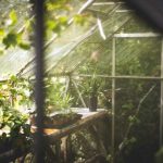 Serre de jardin en verre ou en polycarbonate ?