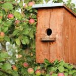 Comment fabriquer une cabane à oiseaux en bois