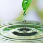 Les utilisations de l&rsquo;eau de pluie récupérée : du jardinage à la maison