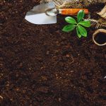 Comment préparer le sol de votre potager en 4 étapes ?