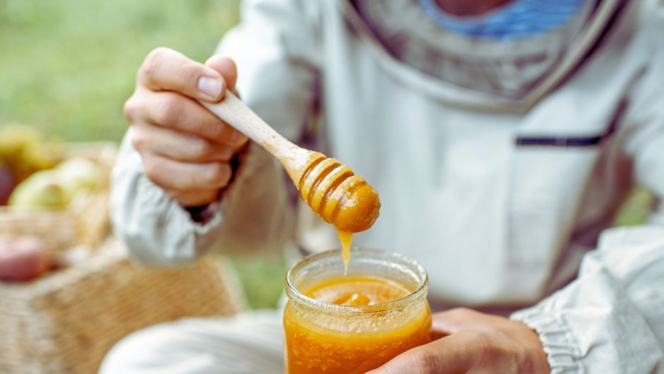 Extraire son miel d’abeille soi-même : intérêt, techniques et matériel nécessaire