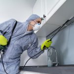 Comment choisir une entreprise anti-nuisible engagée dans une démarche écologique ?