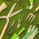 Préparer son jardin saison après saison : les outils clés