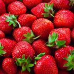 Fraisiers avec stolons dans un jardin potager verdoyant