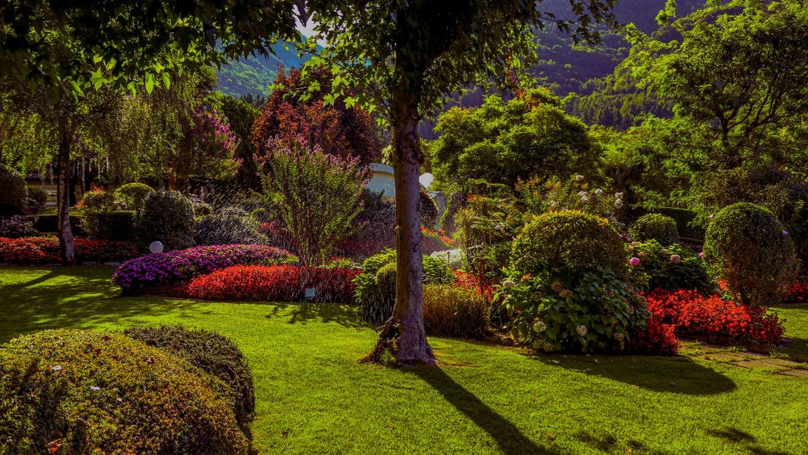 Jardin d ete avec plantes fleuries colorees et verdure luxuriante