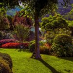 Jardin d ete avec plantes fleuries colorees et verdure luxuriante