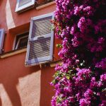 Maison traditionnelle ornee de bougainvillees sur la Cote d Azur